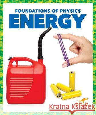 Energy Anita Nahta Amin 9781636900339 Pogo Books