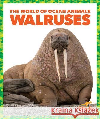 Walruses Mari C. Schuh 9781636900759 Pogo Books