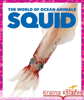 Squid Adeline J. Zimmerman N/A 9781636902975 Pogo Books