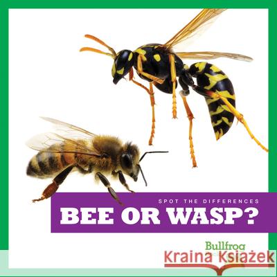 Bee or Wasp? Adeline J. Zimmerman N/A 9781636903385 Bullfrog Books