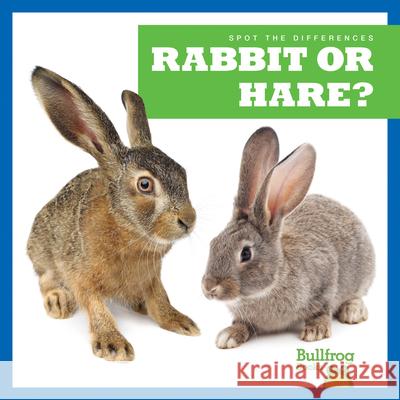 Rabbit or Hare? Jamie Rice N/A 9781636903491 Bullfrog Books
