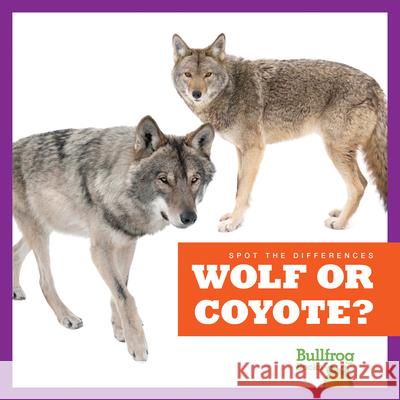 Wolf or Coyote? Jamie Rice N/A 9781636903552 Bullfrog Books