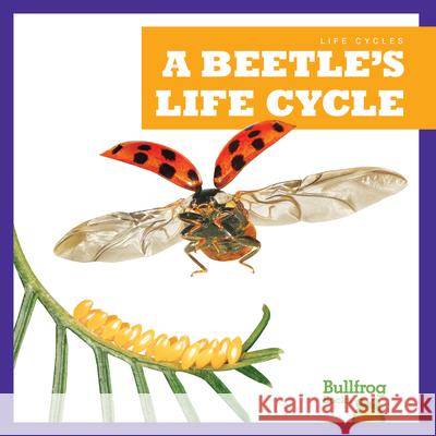 A Beetle's Life Cycle Jamie Rice 9781636908205 Bullfrog Books