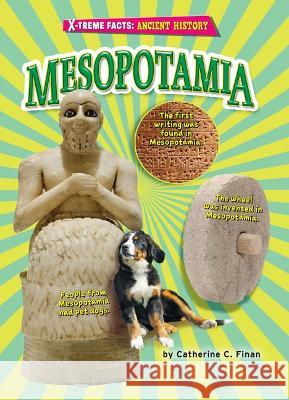 Mesopotamia Catherine C. Finan 9781636911045 Bearport Books