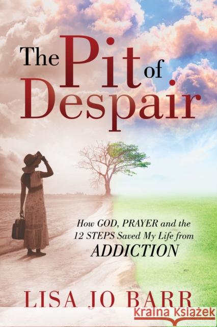 The Pit of Despair Lisa Jo Barr 9781636983127 Morgan James Publishing llc