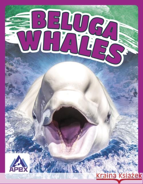 Beluga Whales Angela Lim 9781637380376