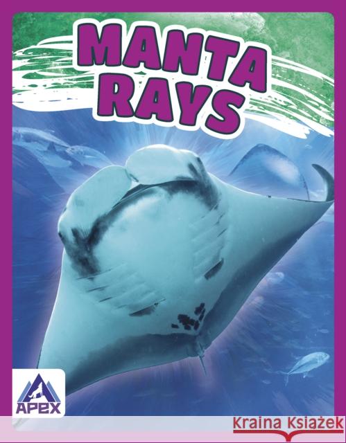 Manta Rays Angela Lim 9781637380420