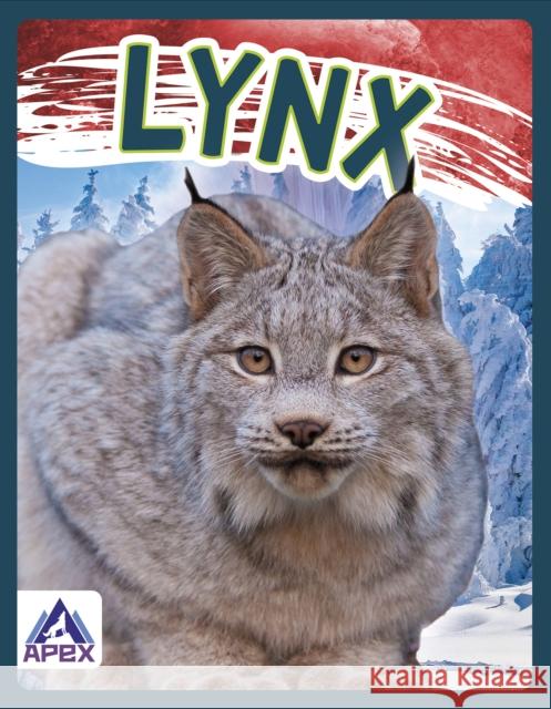 Lynx Sophie Geister-Jones 9781637380697 Apex / Wea Int'l