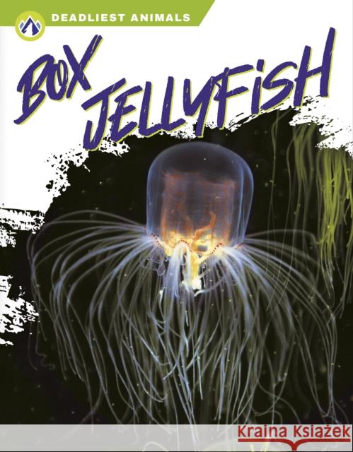 Box Jellyfish Connor Stratton 9781637382813 North Star Editions