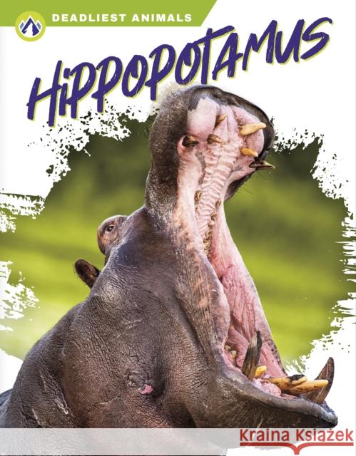 Hippopotamus Golriz Golkar 9781637382844 North Star Editions