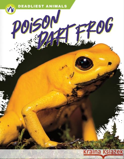 Poison Dart Frog Golriz Golkar 9781637382851 North Star Editions