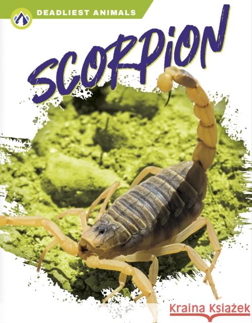 Scorpion Rachel Hamby 9781637382868