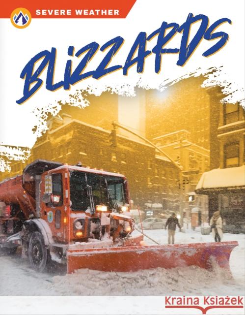 Blizzards Dalgleish, Sharon 9781637383001