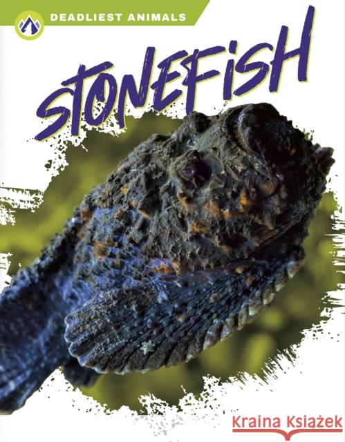 Stonefish Golkar, Golriz 9781637383230 North Star Editions