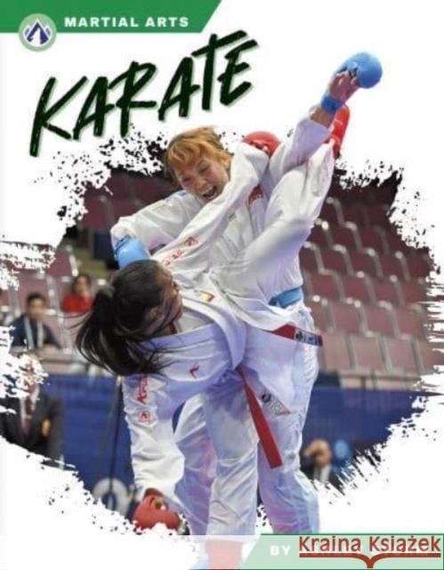 Karate Ashley Storm 9781637387658 North Star Editions