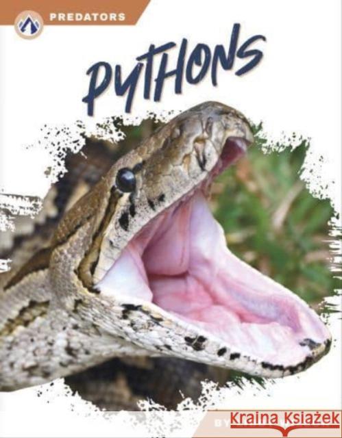 Pythons Libby Wilson 9781637387757