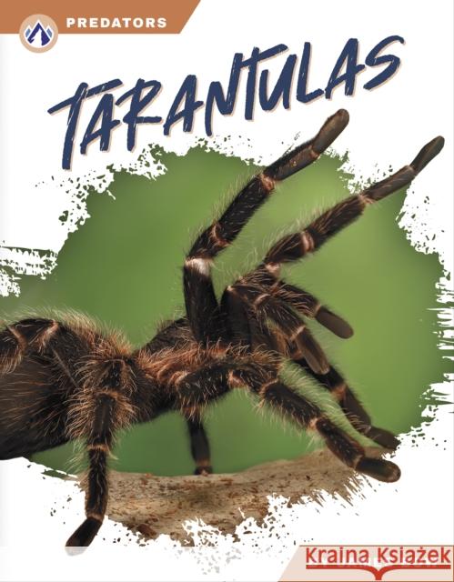 Tarantulas James Bow 9781637388204 Apex / Wea Int'l