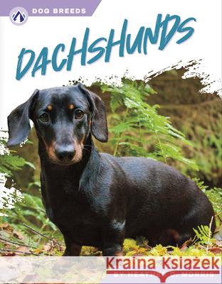 Dachshunds Heather C. Morris 9781637389065 Apex / Wea Int'l