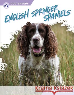 Dog Breeds: English Springer Spaniels Libby Wilson 9781637389072 Apex / Wea Int'l