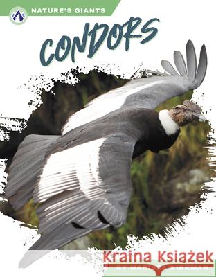 Condors Marissa Kirkman 9781637389737 Apex / Wea Int'l