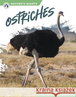 Nature's Giants: Ostriches Marissa Kirkman 9781637389805