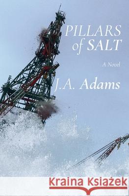Pillars of Salt J. A. Adams 9781637528259 Atmosphere Press