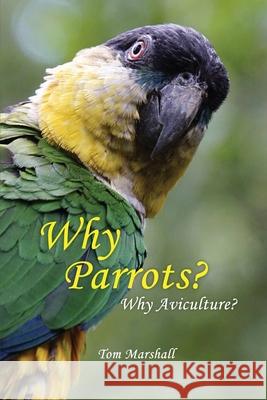 Why Parrots?: Why Aviculture? Tom Marshall 9781637640449 Dorrance Publishing Co.