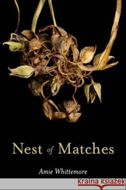 Nest of Matches Amie Whittemore 9781637680896 Autumn House Press