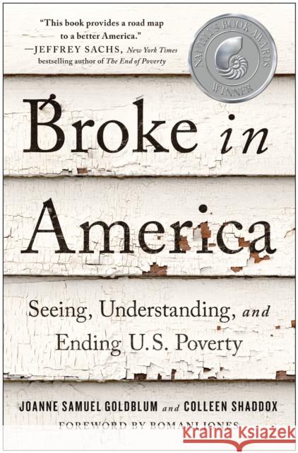 Broke in America: Seeing, Understanding, and Ending US Poverty Colleen Shaddox 9781637743454 BenBella Books