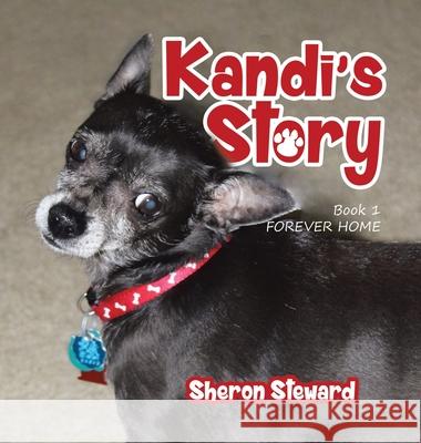 Kandi's Story: Forever Home (New Edition) Sheron Steward 9781637900284 Matchstick Literary