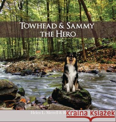 Towhead and Sammy The Hero Helen L. Merrell Rita Fisher 9781637957288