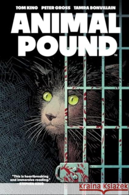 Animal Pound Tom King Peter Gross 9781637969779 Boom! Studios