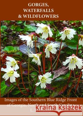 Gorges, Waterfalls, and Wildflowers L. L. Gaddy 9781638041948 Terra Incognita Books