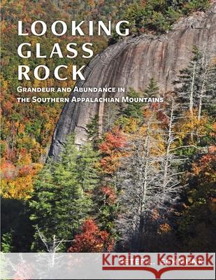 Looking Glass Rock Peter L. Schmunk 9781638042112 Clemson University Press