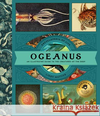 Oceanus: An Illustrated Guide to Creatures of the Deep Lindy Mattice 9781638191223 Bushel & Peck Books
