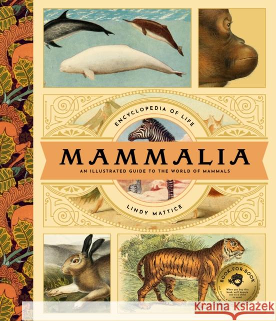 Mammalia Lindy Mattice 9781638191285 Bushel & Peck Books