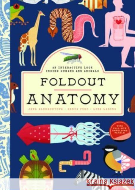 Foldout Anatomy: An Interactive Look Inside Humans and Animals Jana Albrechtova 9781638191292 GLOBAL PUBLISHER SERVICES