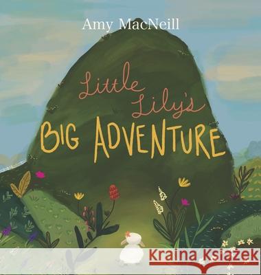 Little Lily's Big Adventure Amy MacNeill 9781638371304 Palmetto Publishing