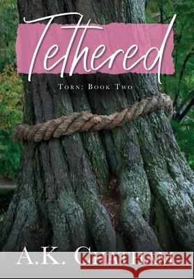 Tethered: Torn: Book Two A. K. Chatham 9781638376675 Palmetto Publishing