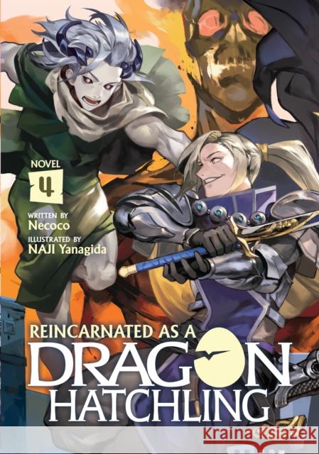 Reincarnated as a Dragon Hatchling (Light Novel) Vol. 4 Nekoko                                   Naji Yanagida 9781638581192 Airship