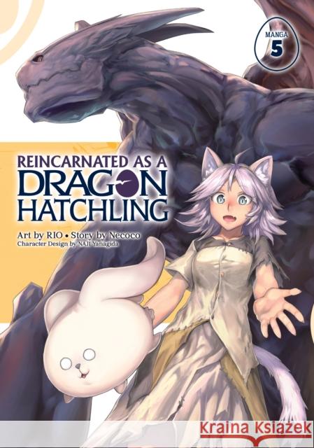 Reincarnated as a Dragon Hatchling (Manga) Vol. 5 Necoco                                   Rio                                      Naji Yanagida 9781638588399 Seven Seas Entertainment, LLC