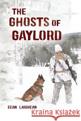 The Ghosts of Gaylord Sean Laighean   9781638600060 Fulton Books