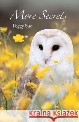 More Secrets Peggy Sue 9781638678090