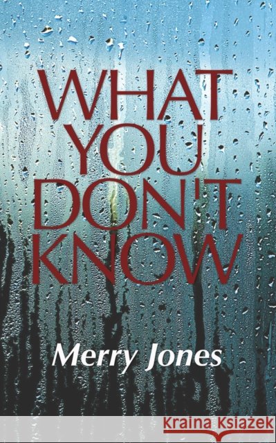 What You Don't Know Merry Jones 9781638772057 Bloch Books