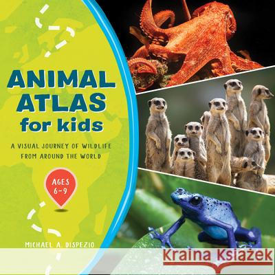 Animal Atlas for Kids: A Visual Journey of Wildlife from Around the World Michael A. DiSpezio 9781638786290 Rockridge Press