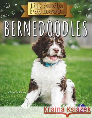 Bernedoodles Christina Earley 9781638971993