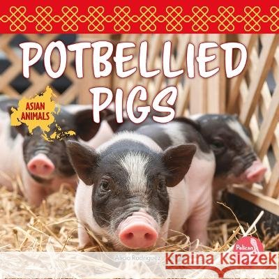 Potbellied Pigs Alicia Rodriguez 9781638974406