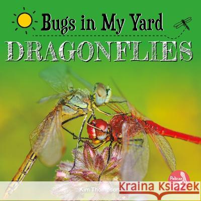Dragonflies Kim Thompson 9781638975410