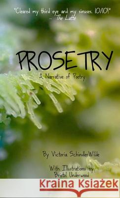 Prosetry: A Narrative of Poetry Victoria Schindlerwilde Bristol Underwood Megan Schindlerwilde 9781639012534 Toasty Press