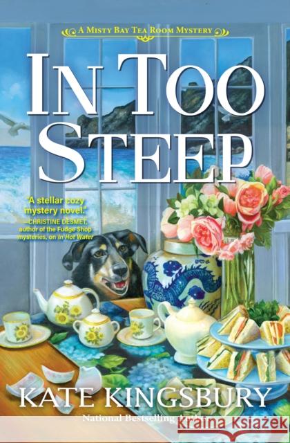 In Too Steep Kate Kingsbury 9781639100668 Crooked Lane Books